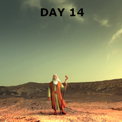 Day 14 - The Bronze Serpent and a Covenant in Moab